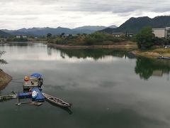 -千岛湖港湾鱼庄