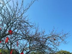 -古田会议纪念馆