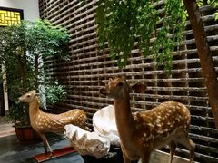 -健眺小海鲜(临海后山店)