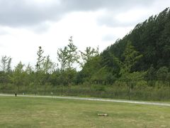 -黄海国家森林公园