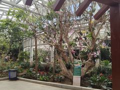 -石家庄市植物园