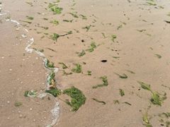 -青岛第三海水浴场