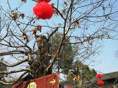 -兴福老面馆(寺路街店)