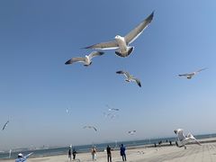 -东港音乐喷泉广场