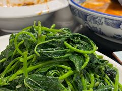 -小杨酒家(华苑小区店)