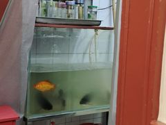 -北大地皖峰饭馆