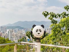 -金鸡山公园