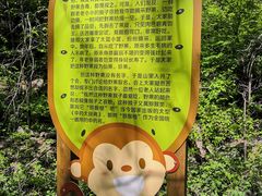 -大岭沟猕猴桃谷风景区