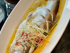 苏帮清蒸白鱼-苏帮袁Sue Cuisine(来福士店)