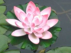 -镇江市南山风景名胜区竹林景区