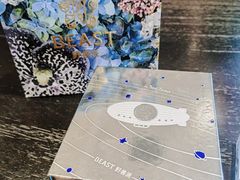 -BEAST野兽派(上海浦东嘉里城店)