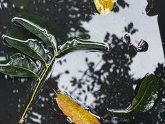 -海马体照相馆(正佳广场店)