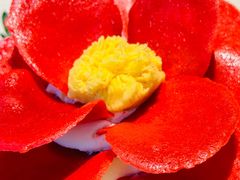 -Tomacado花厨(One ITC店)