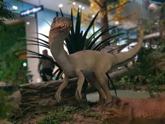 -湖南省地质博物馆