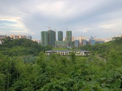 -壮乡楼民俗文化苑(李宁体育园店)