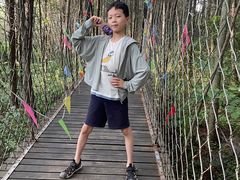 -青峰峡国家森林公园