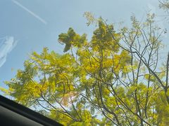 -吉羊三宝(复兴门笔管胡同店)