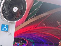 -圣淘沙天际线斜坡滑车