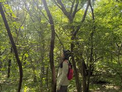 -天门寺