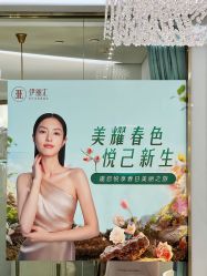 -伊丽汇