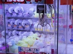 -小象猛犸(炫地购物中心店)