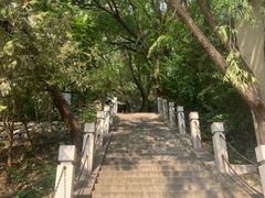 -北京凤凰岭