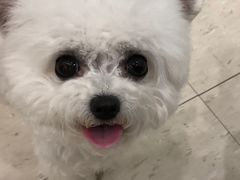 -萌兽医馆·眼科·异宠专科(三里屯店)