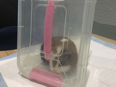 -雨林宠物医院 非犬猫异宠专科