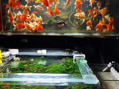 -后院犇牛主题餐厅(云岗店)