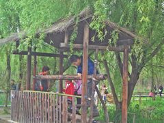 -溱湖国家湿地公园