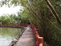 -海南文笔峰盘古文化旅游区