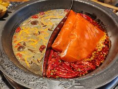 -蜀大侠火锅(总府路店)