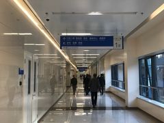 -首都医科大学附属北京天坛医院