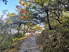-北京鹫峰国家森林公园
