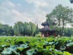 -莲池书院博物馆