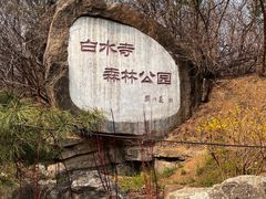 -白水寺森林公园
