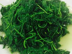 -扬州菜在上海(场北广场店)
