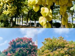 -艾溪湖湿地公园