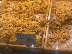 -六贤记(杭州龙湖滨江天街店)