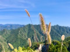 -北京山里寒舍度假酒店