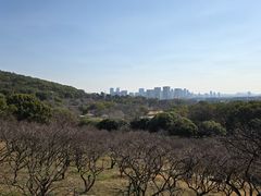 -无锡梅园公园