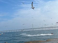 -星海广场