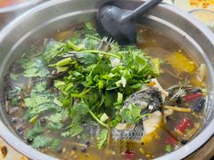 -风鑫铃罗非鱼(道沟店)