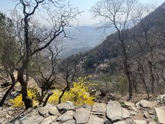 -北京鹫峰国家森林公园