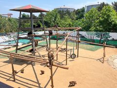 -西霞口神雕山野生动物世界