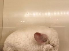 -龙猫仔乐园(惠福东路店)