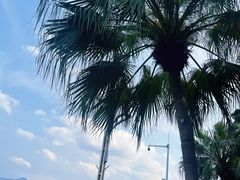 -深圳湾公园(南山区)