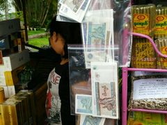 -瑞丽独树成林风景区