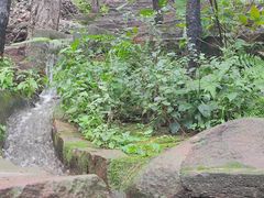 -山叶口景区