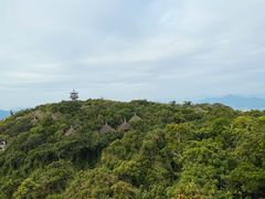 -亚龙湾热带天堂森林公园